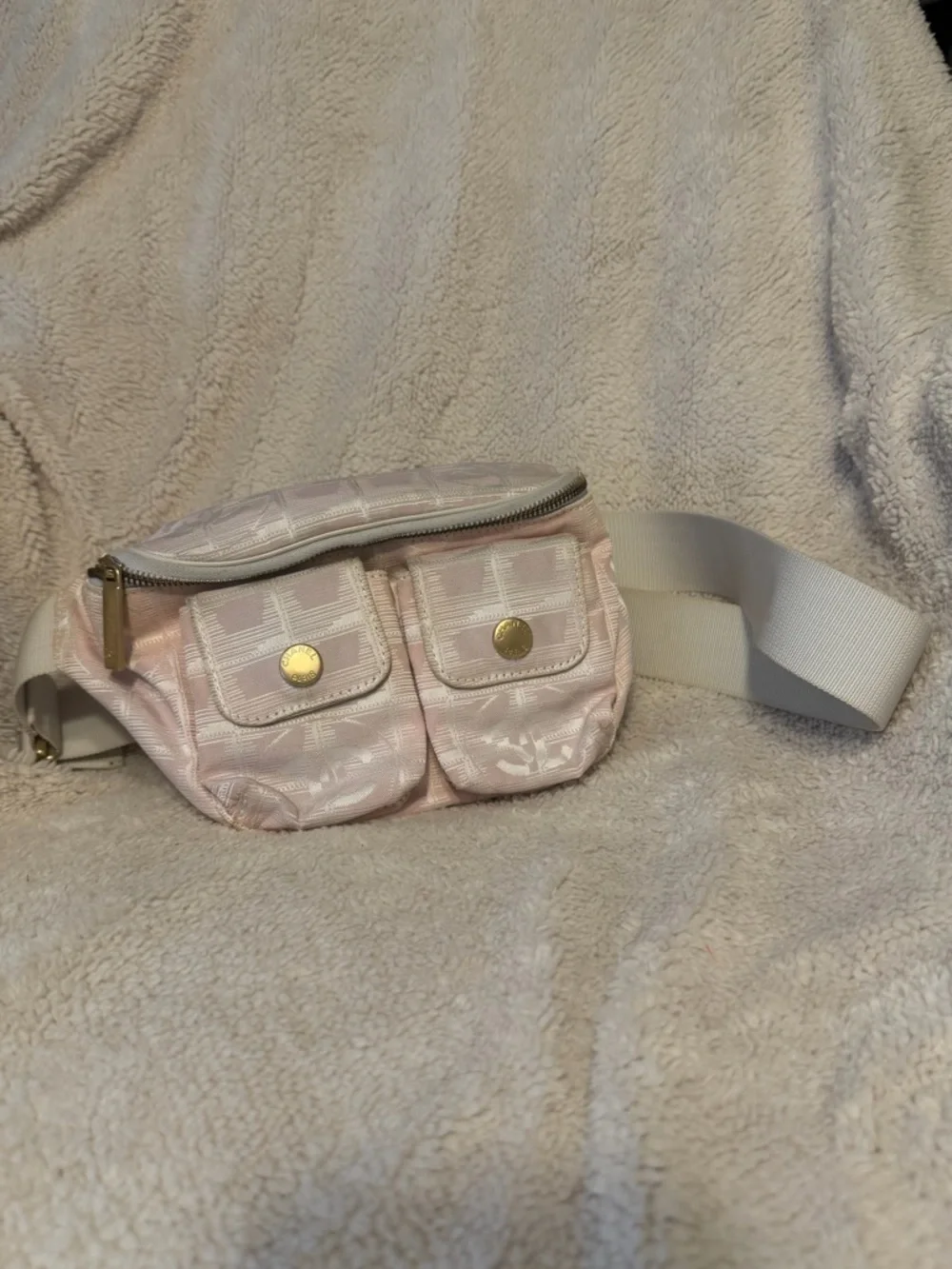 CHANEL Pink Quilted Mini Belt Bag with Gold Hardware - Picture 1 of 14